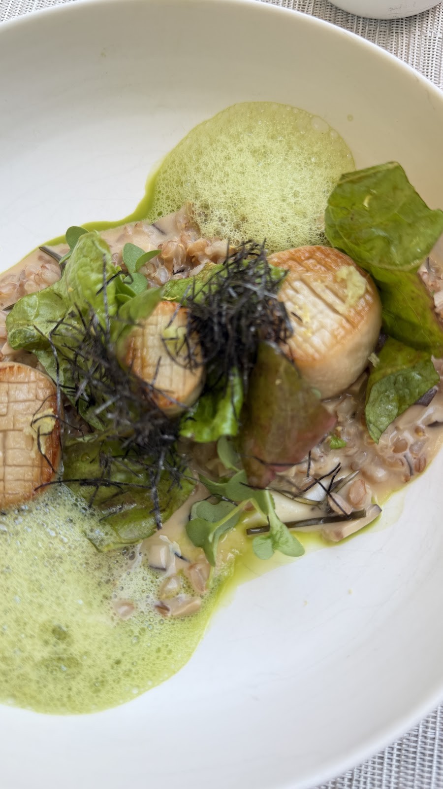 blooms: food & drinks