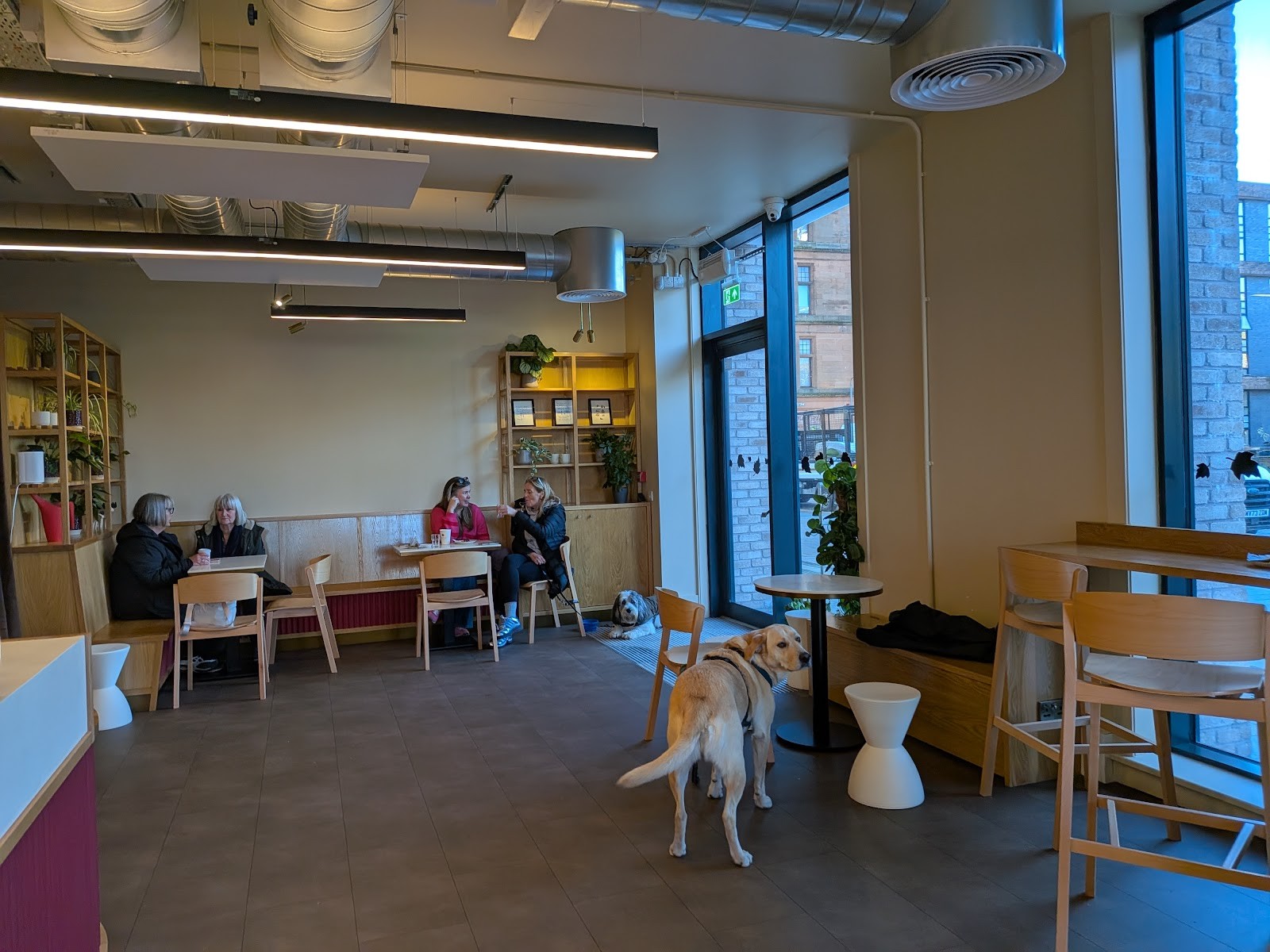 Maple Leaf Bakery: the place