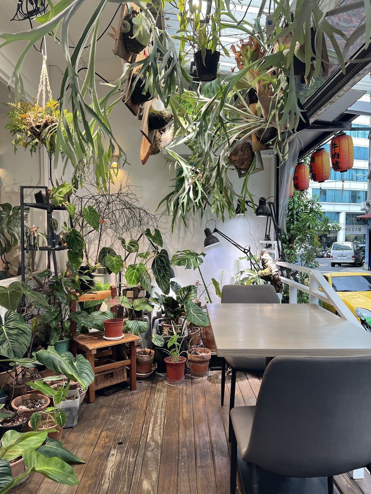 About Islander: the place