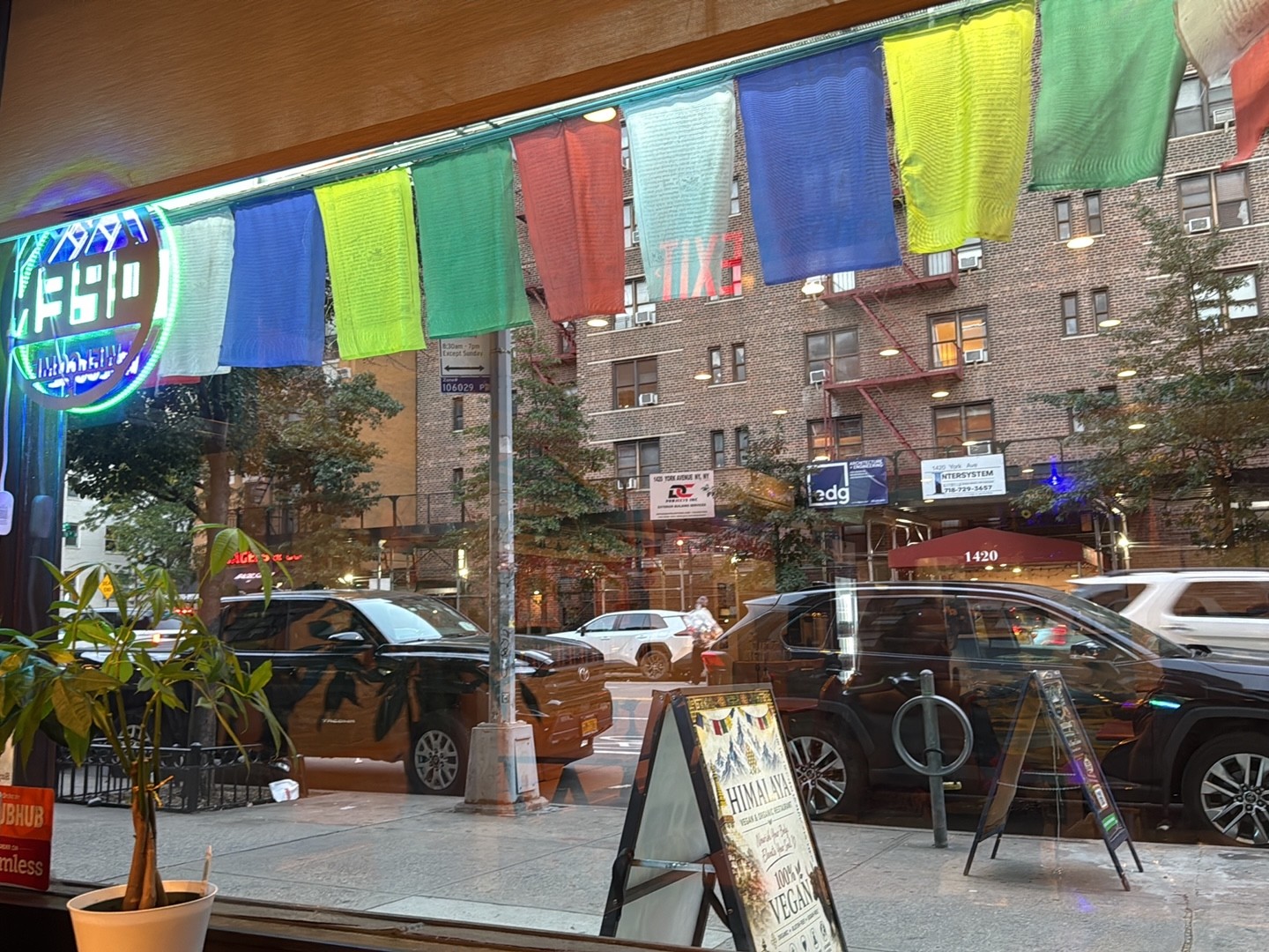 Himalaya Vegan & Organic Restaurant: the place