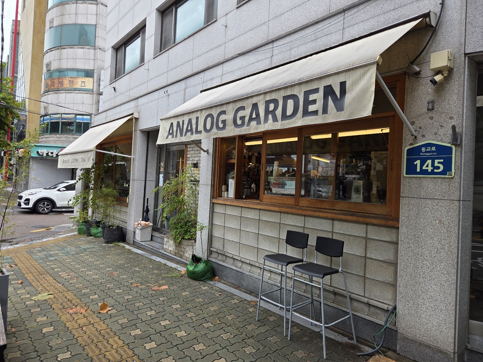 Analog Garden: the place