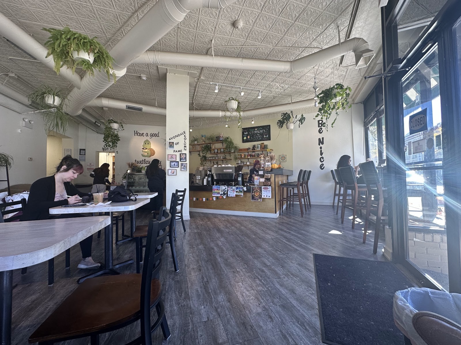 Sipping Turtle Cafe: the place