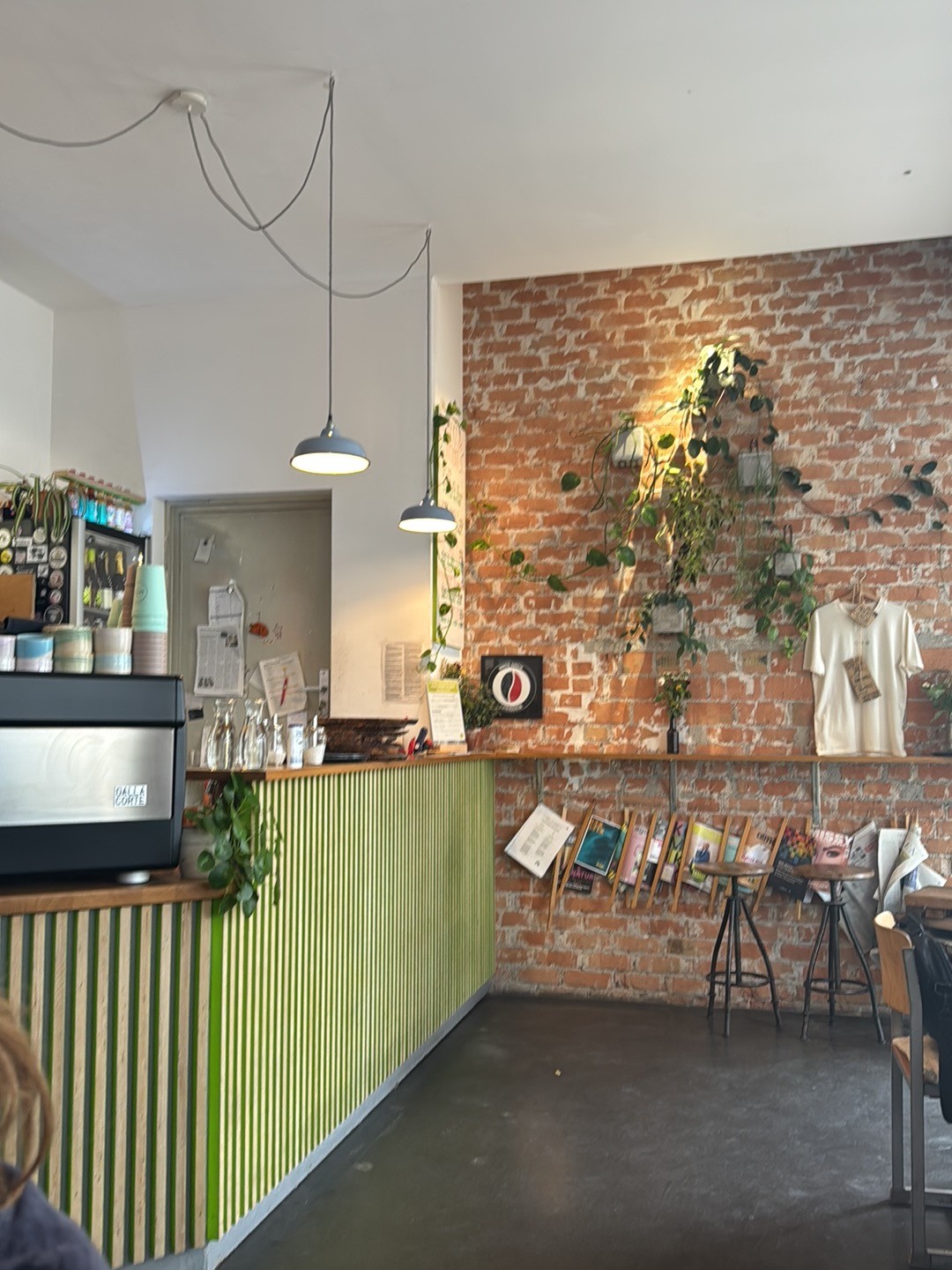 Raupe Immersatt: the place