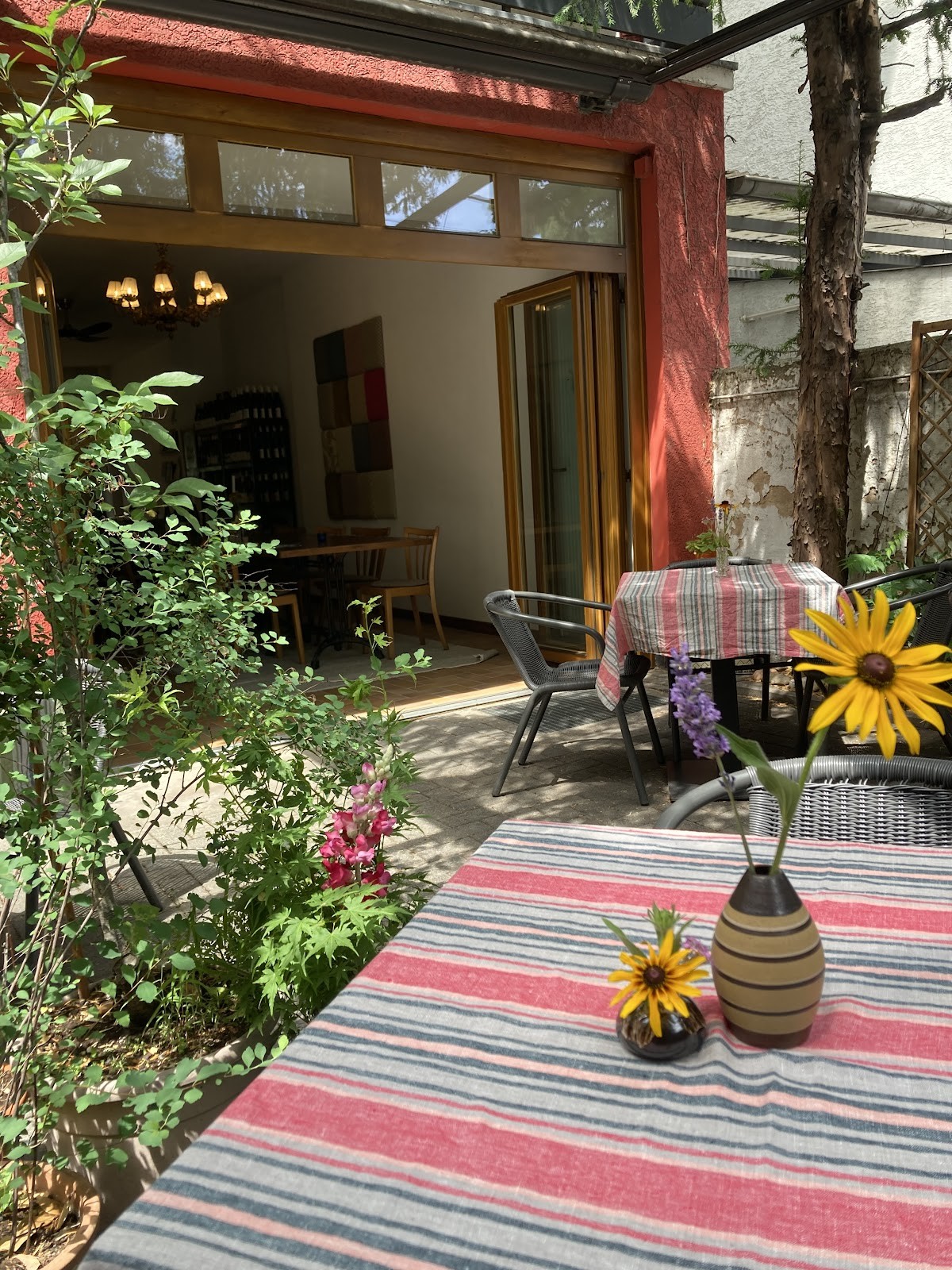Hase und Wolfshund: the place