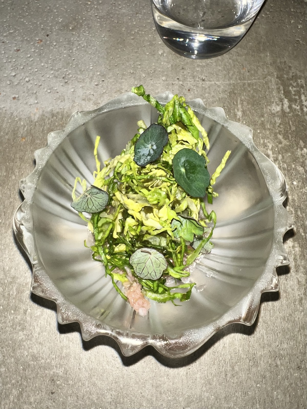 Vivide: food & drinks