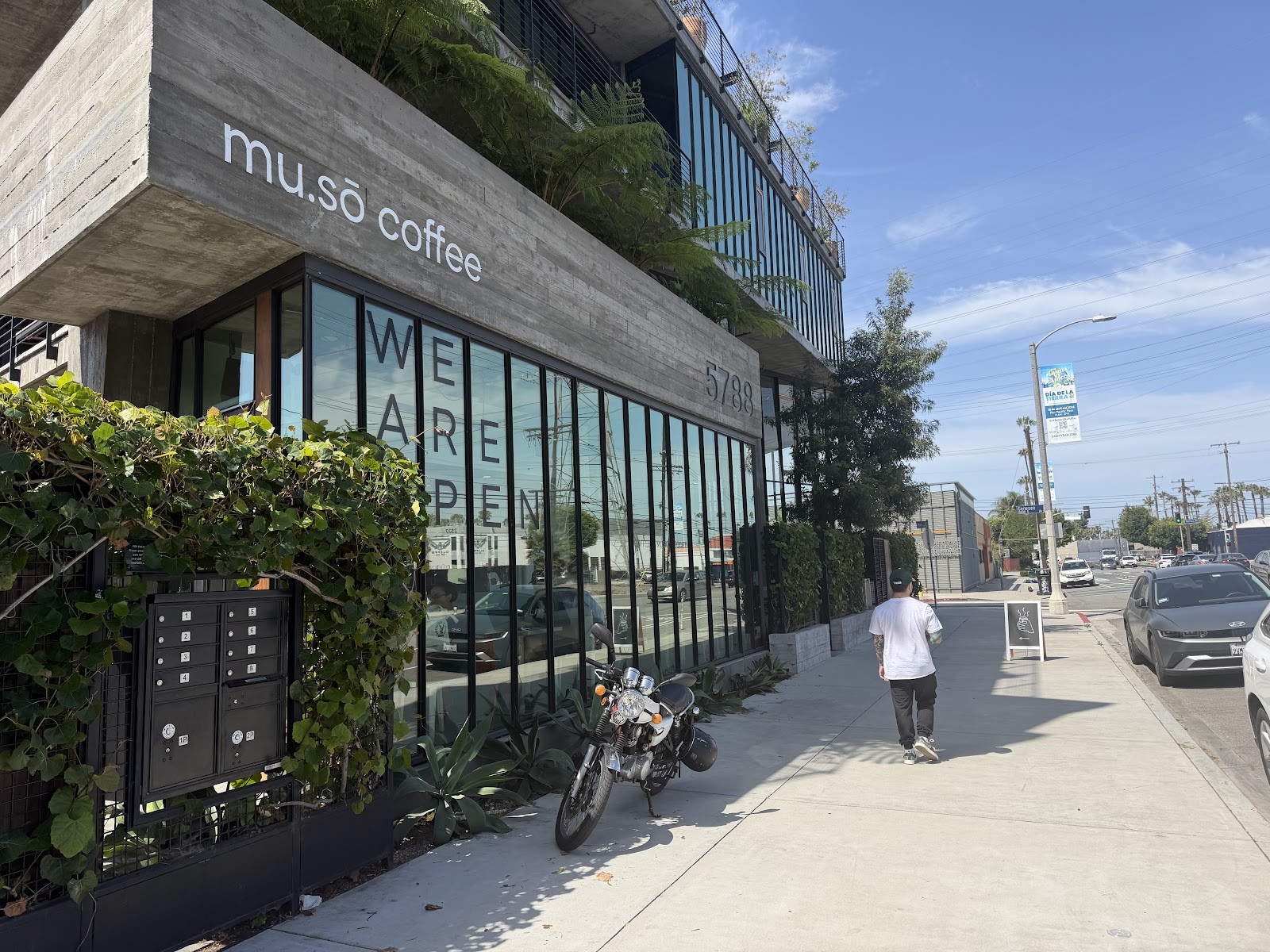 mu.sō coffee: the place