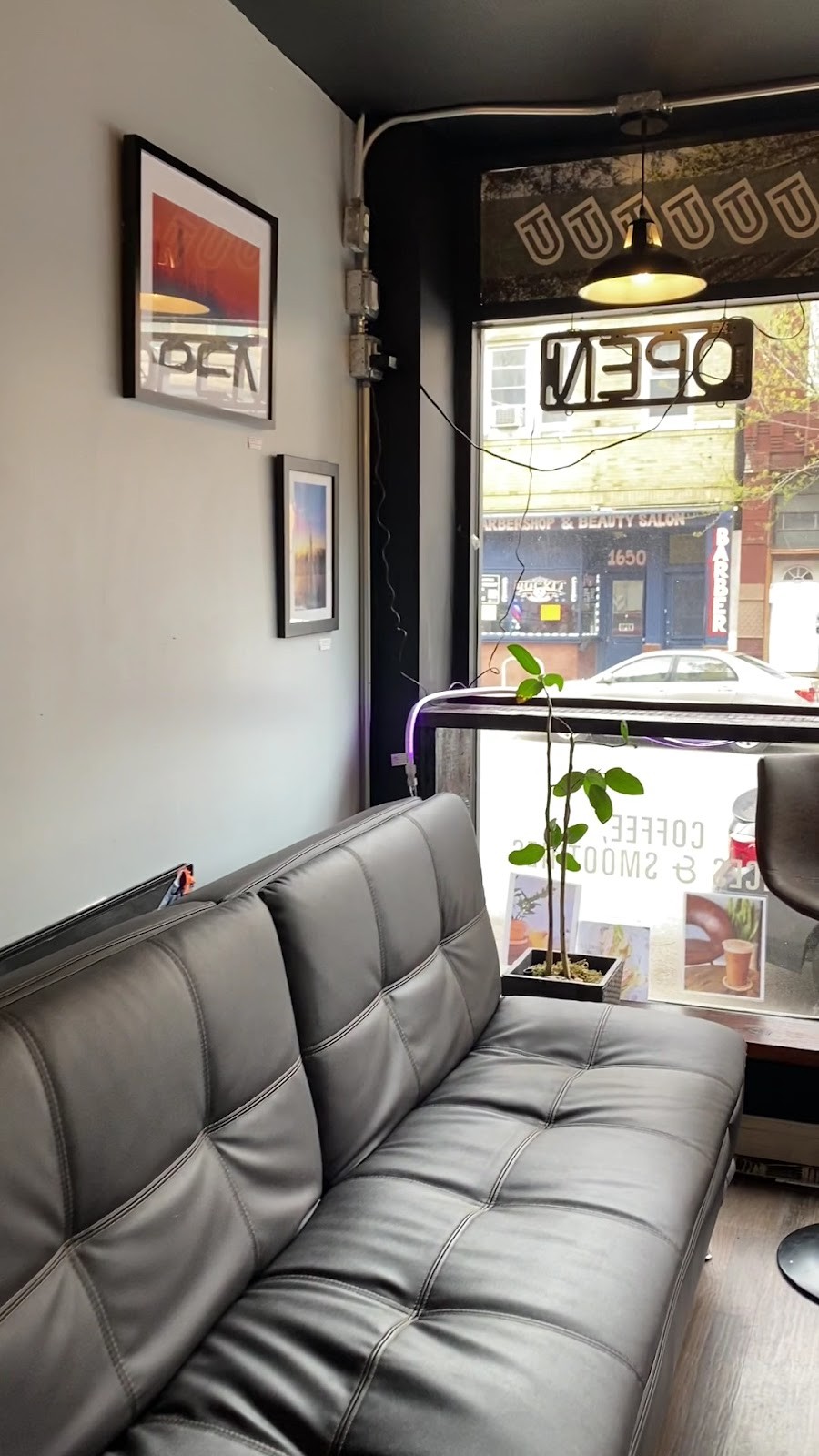Urban Treez Chicago: the place