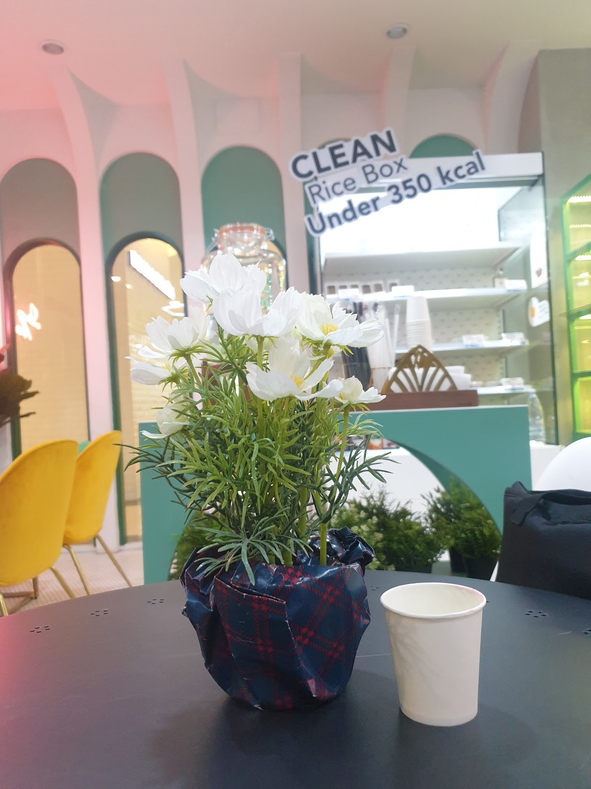 Le Root: the place
