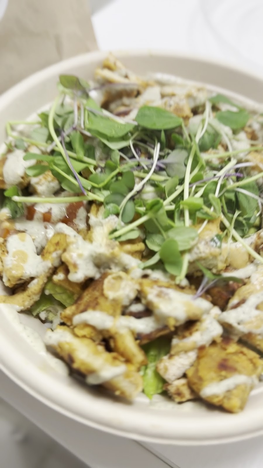 AVO ORGANIC KITCHEN: food & drinks