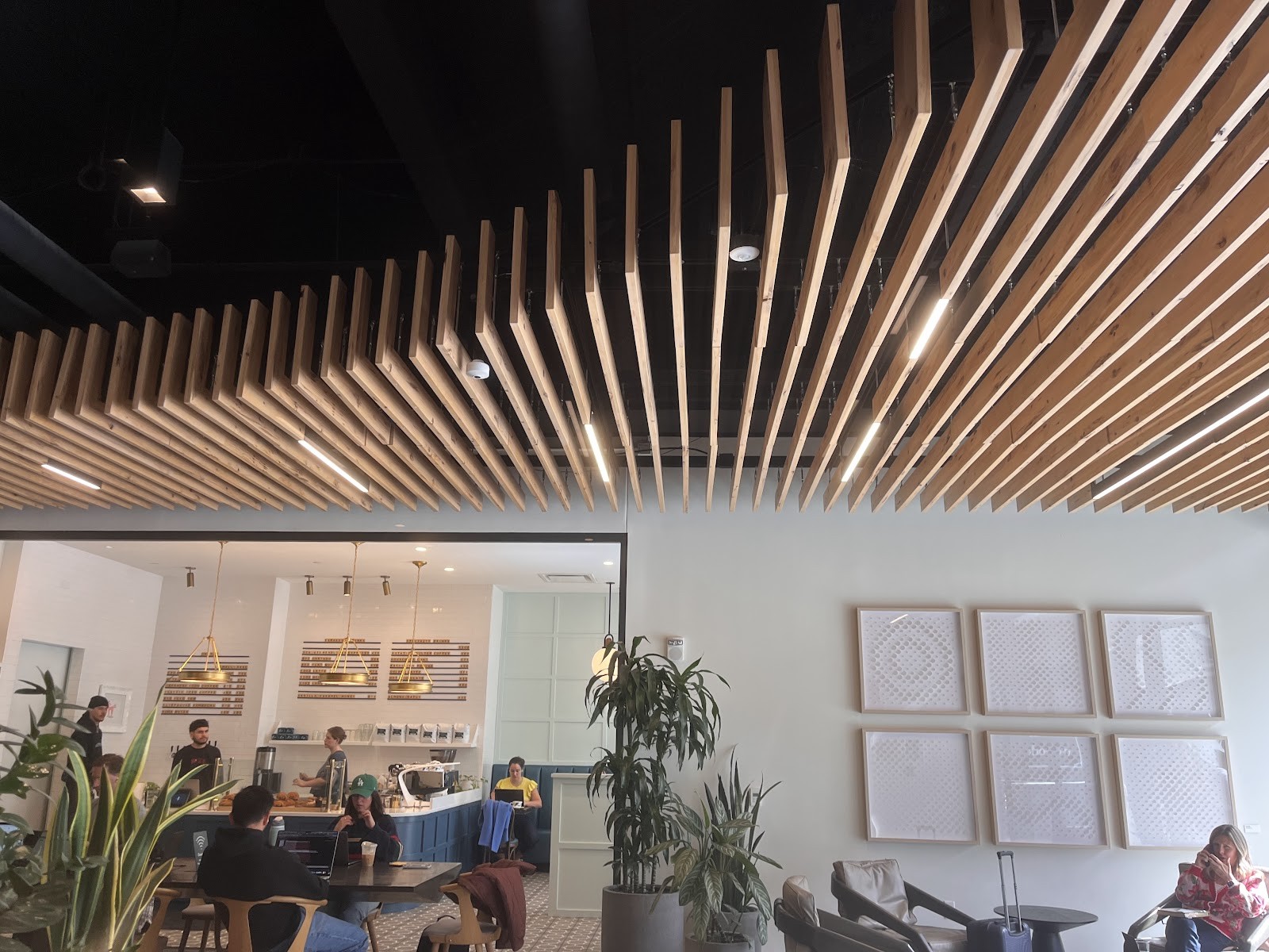 Blue Sparrow Coffee: the place