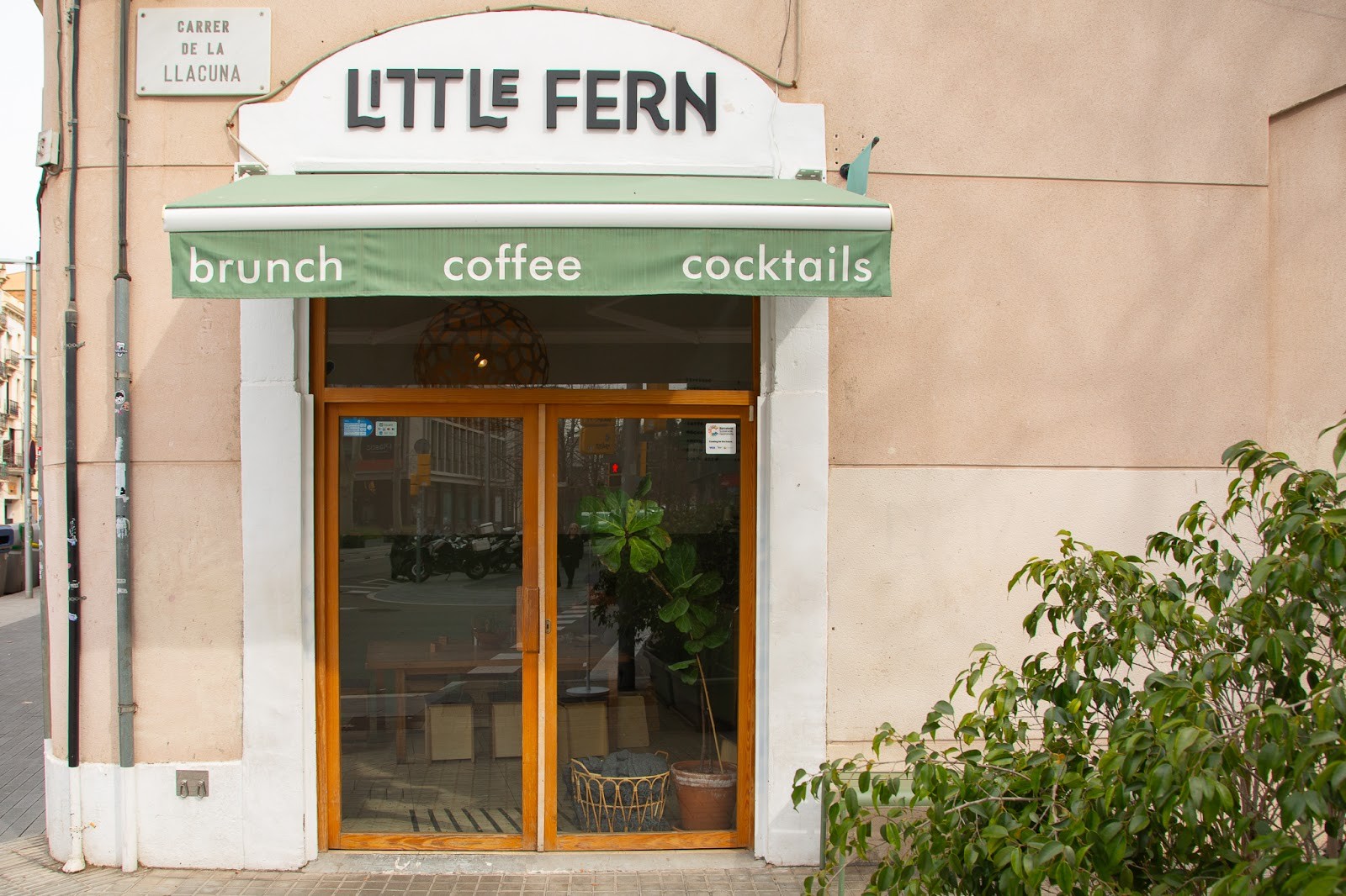 LITTLE FERN: the place