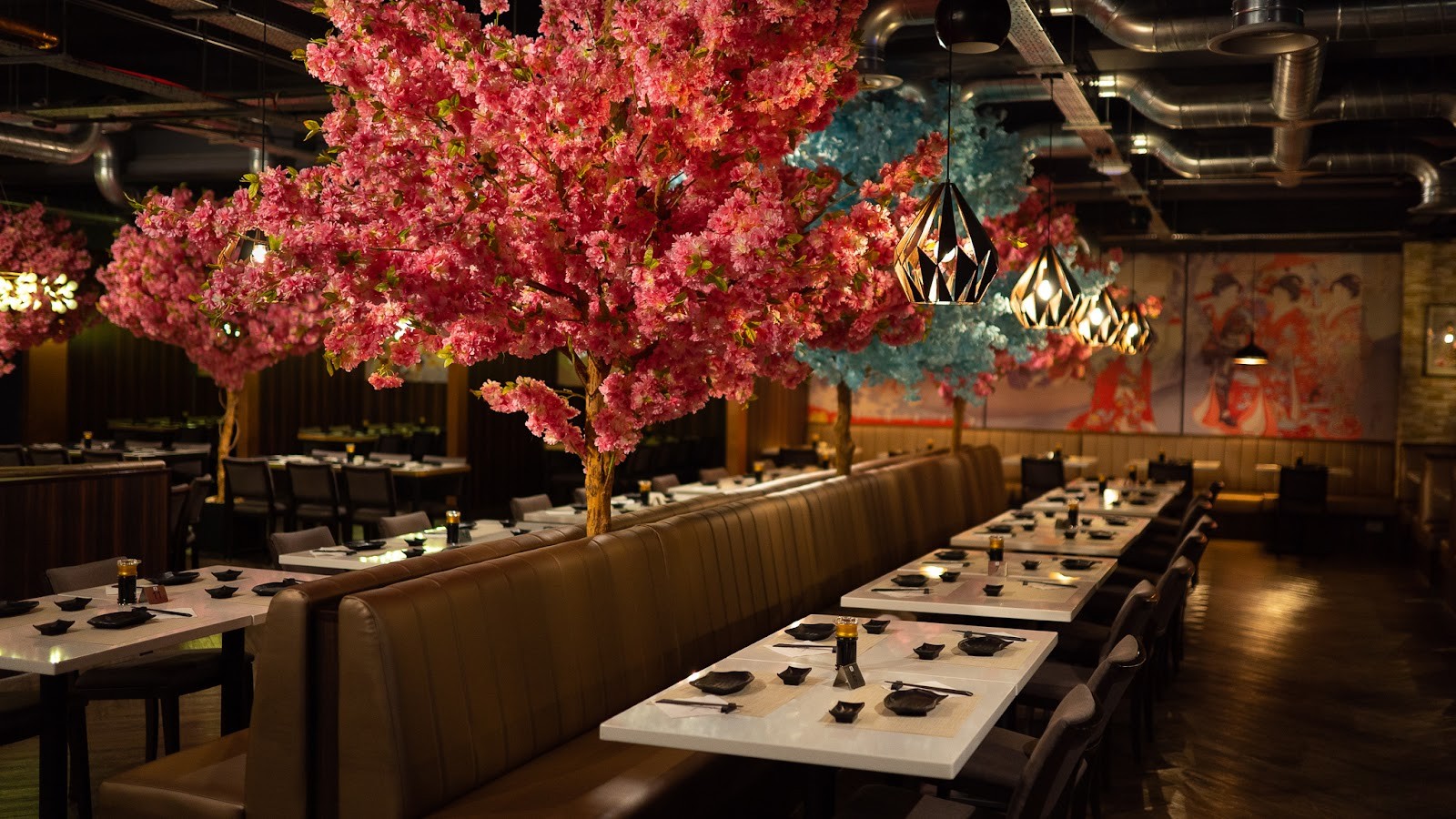 Blue Sakura Leeds: the place