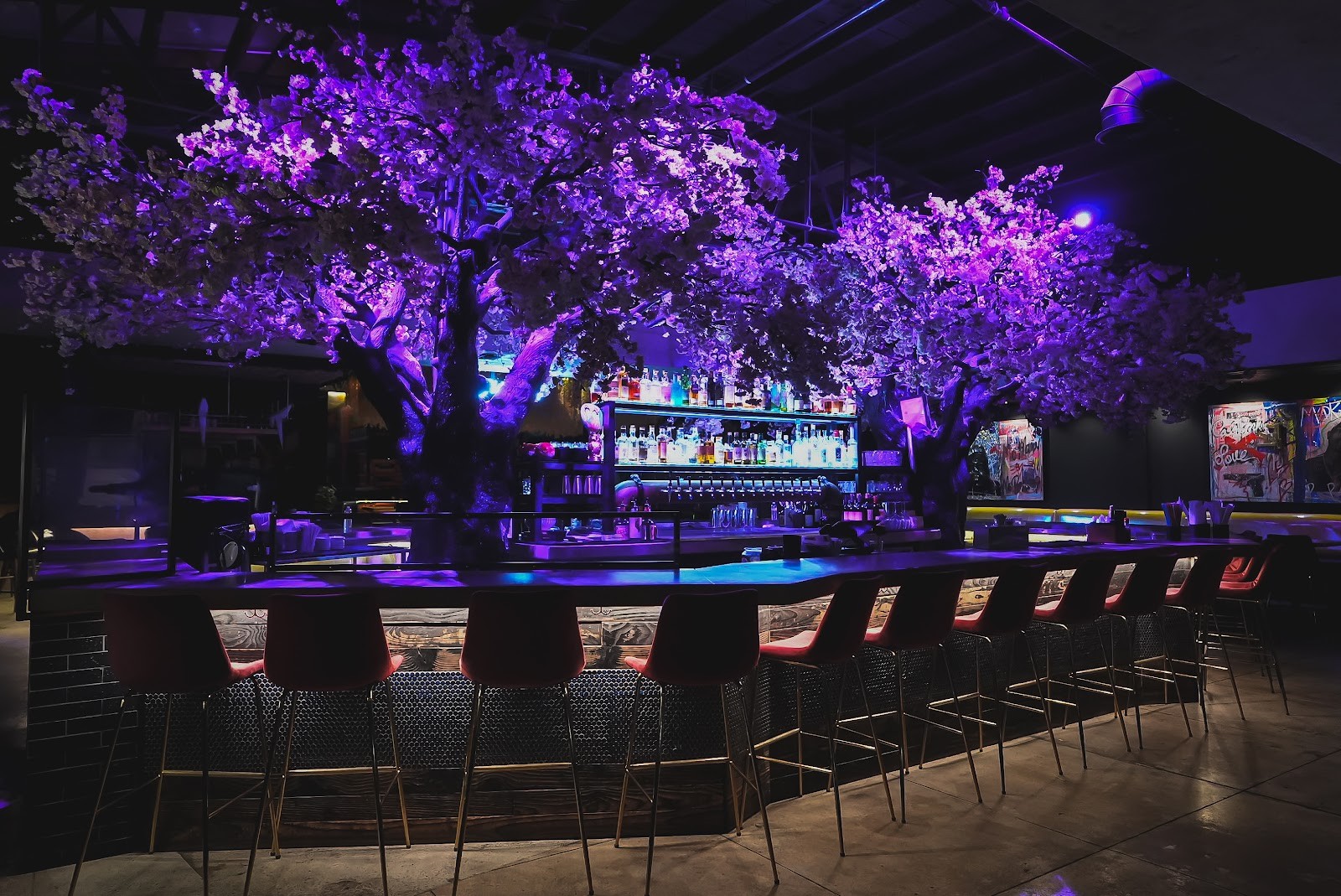 Cloak and Petal Little Italy: the place
