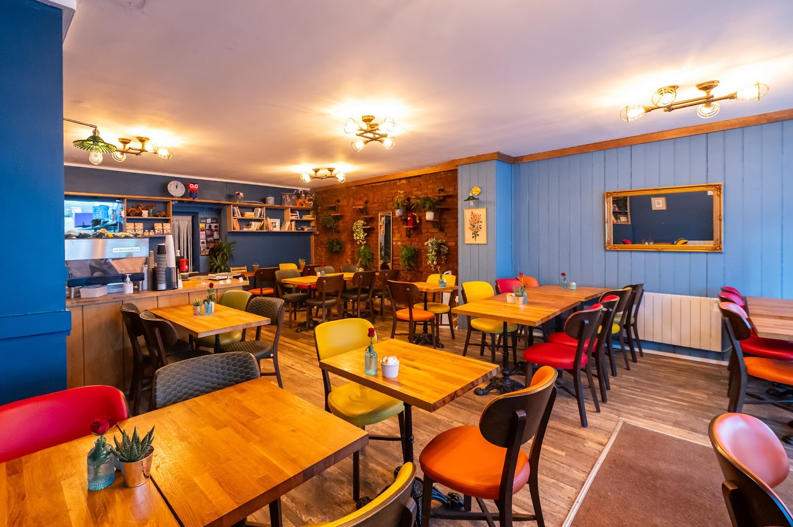 The Blue Owl: the place
