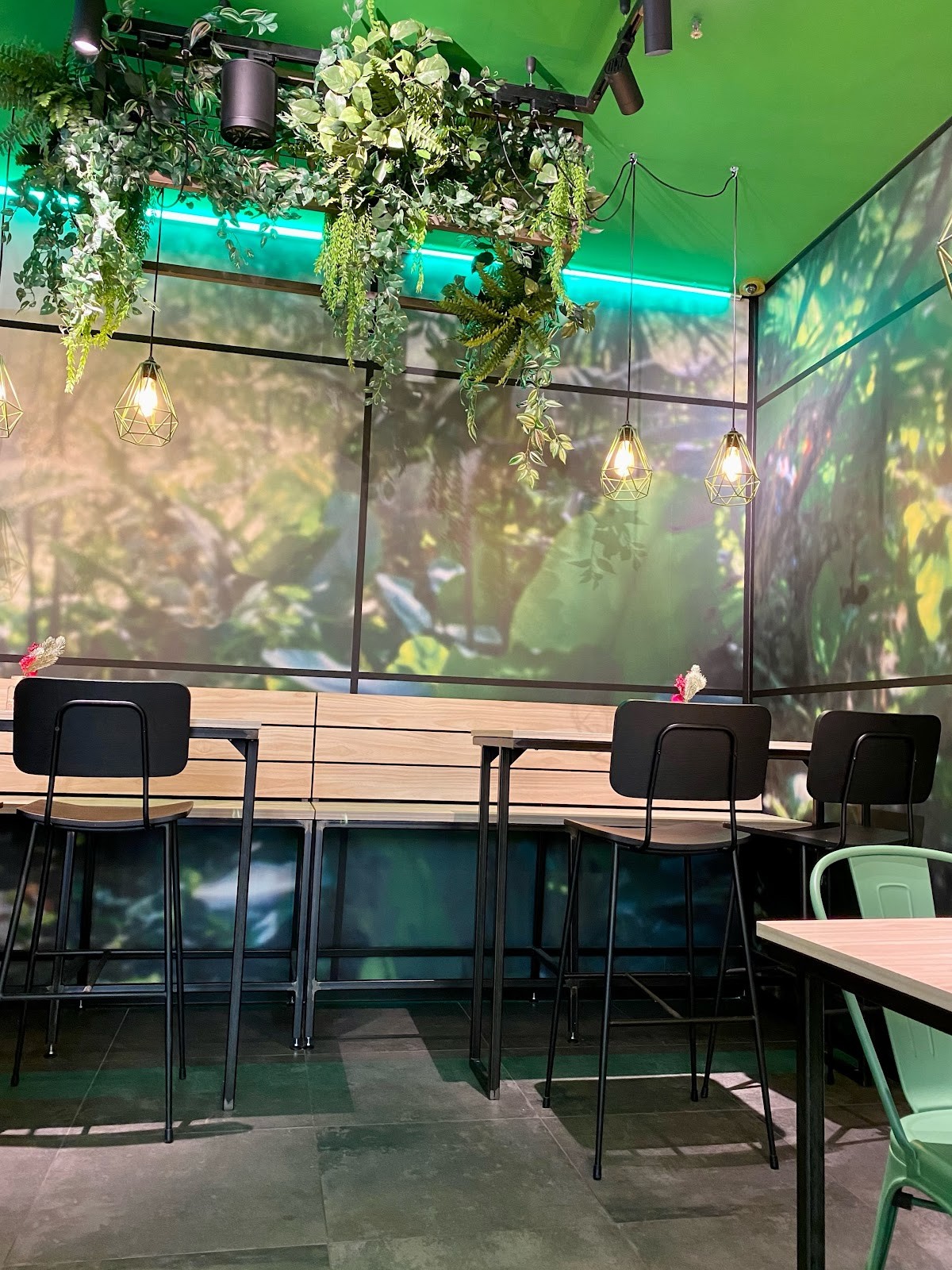 Immergrün - Alstertal-Einkaufszentrum: the place