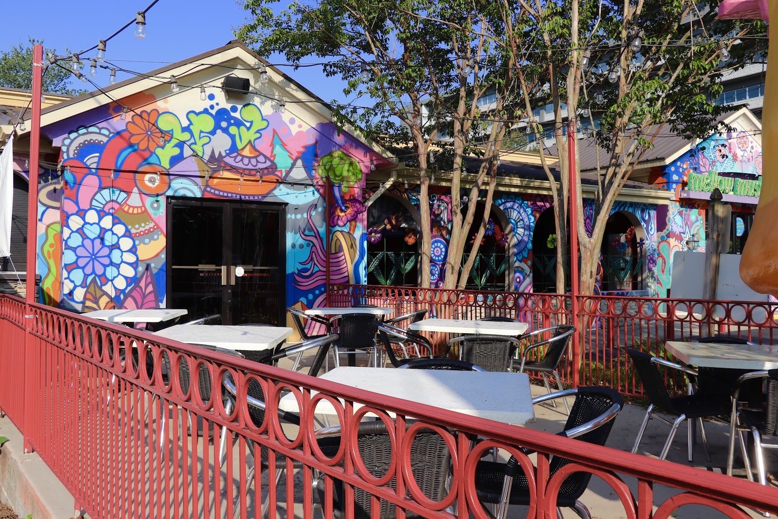 Mellow Mushroom Atlanta - Buckhead: the place