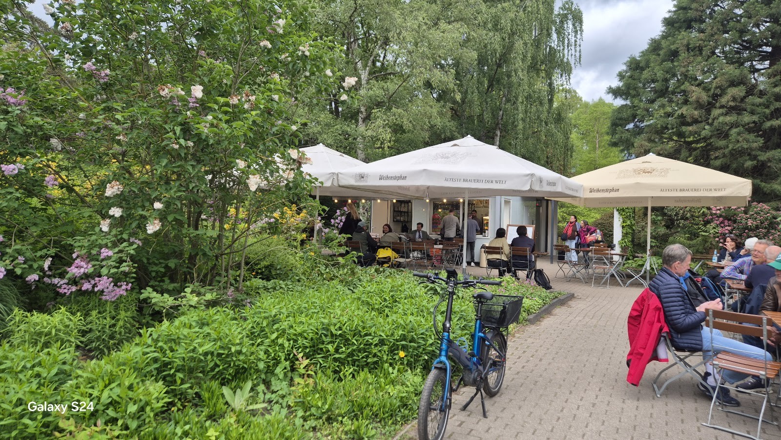 Café Blomen: the place