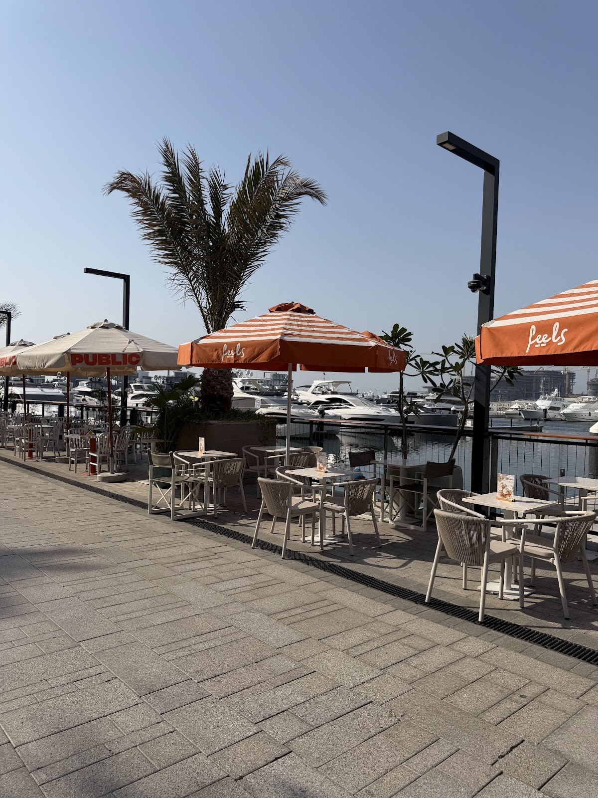 Feels Marsa Al Arab: the place