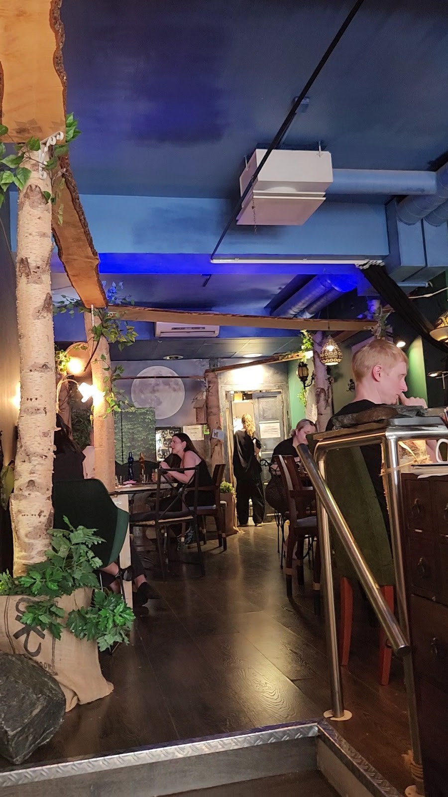 Helkatti Cat Cafe: the place