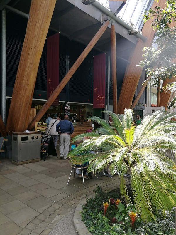 Zooby's: photo 4