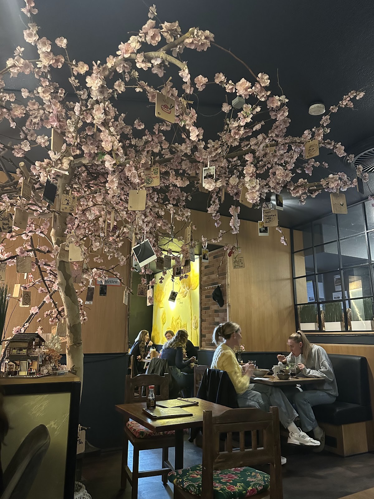 To80 Vegan: the place