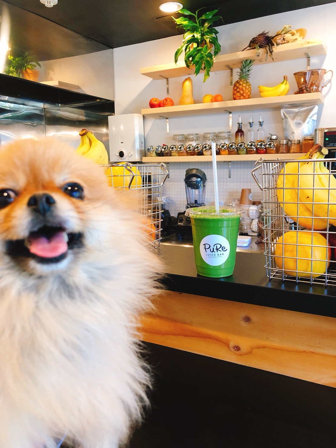 PuRe -JUICE BAR-: the place