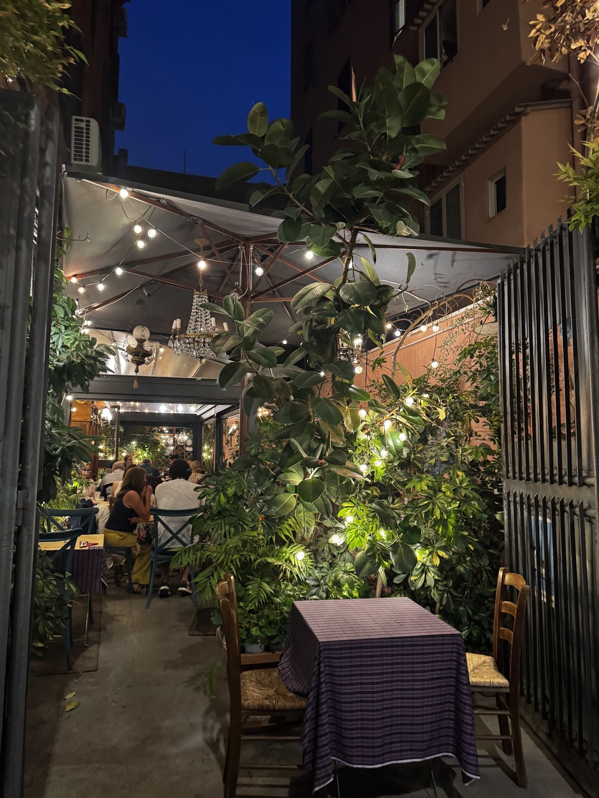 La Trattoriola di Luca: the place