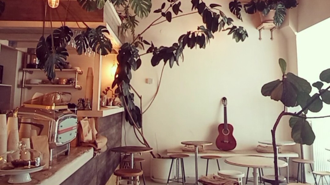 Bio Cafe Blütezeit: the place