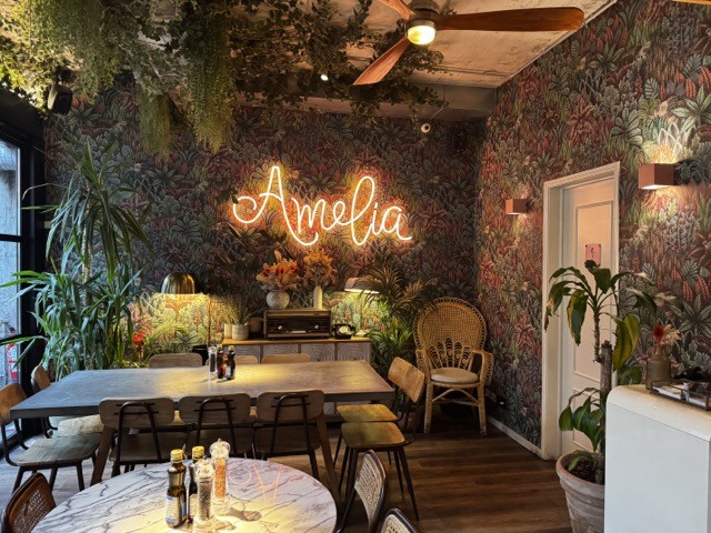 Amélia Lisboa: the place
