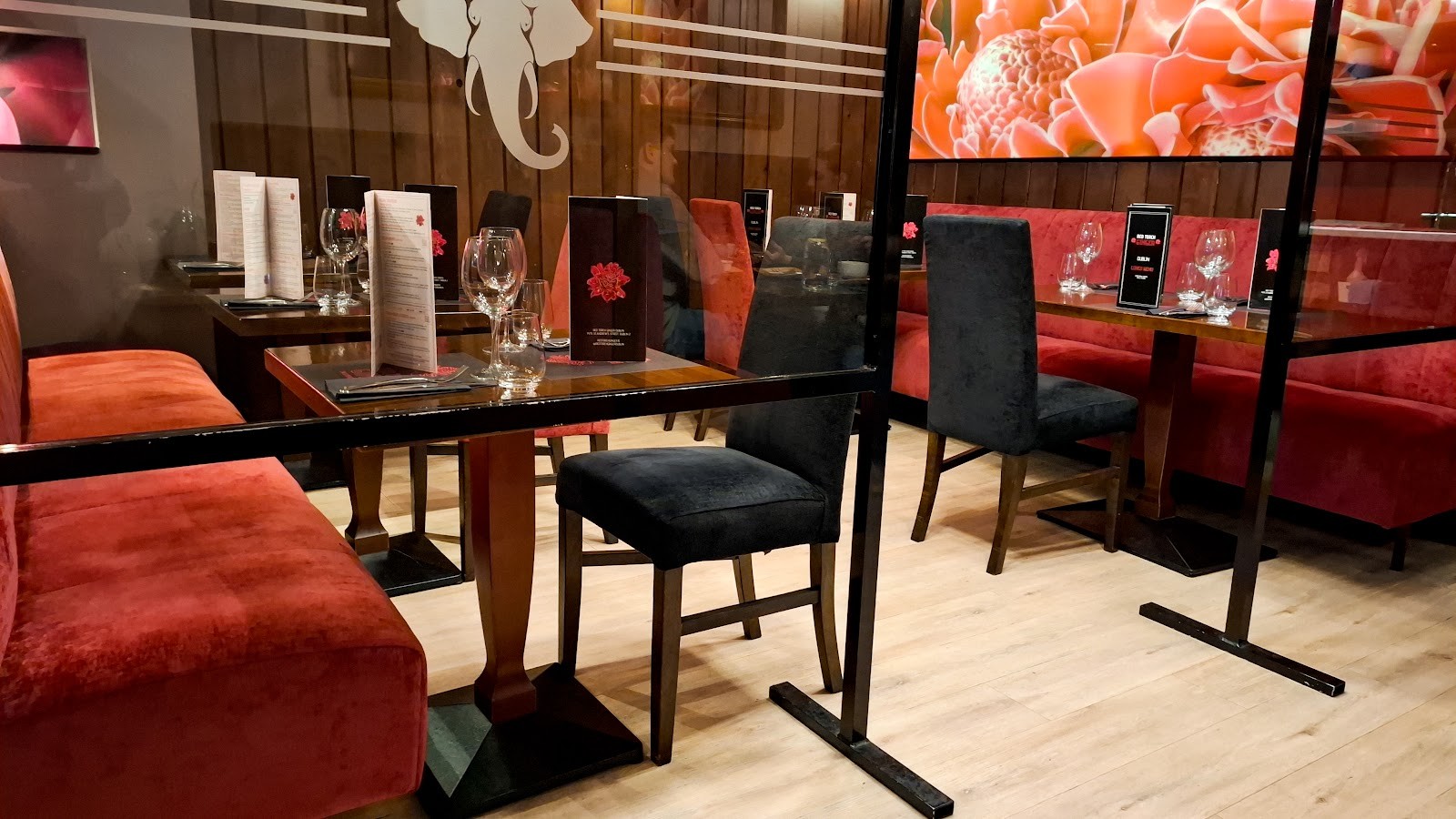 Red Torch Ginger Dublin 2: the place