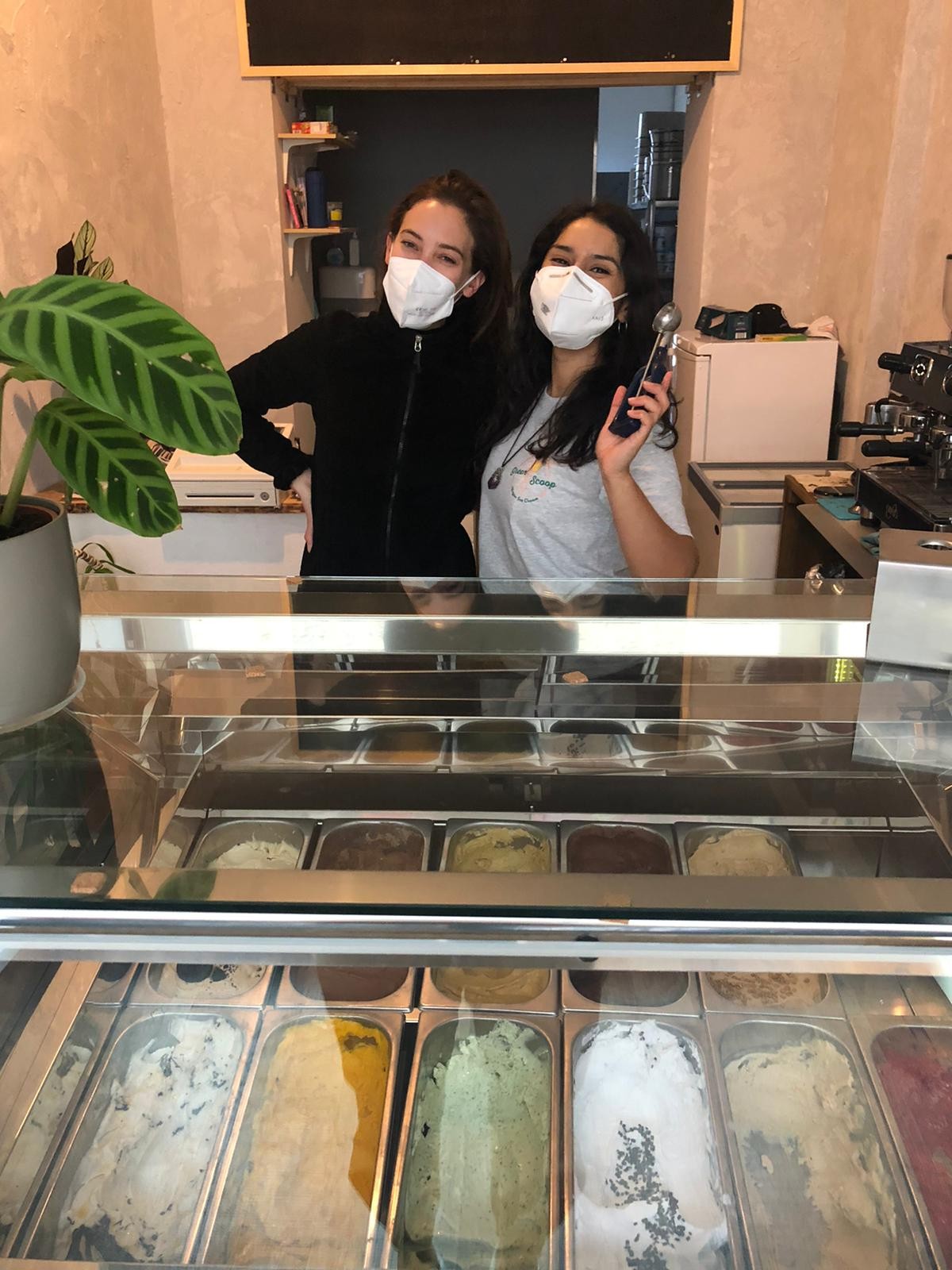 Green Scoop GmbH: the place