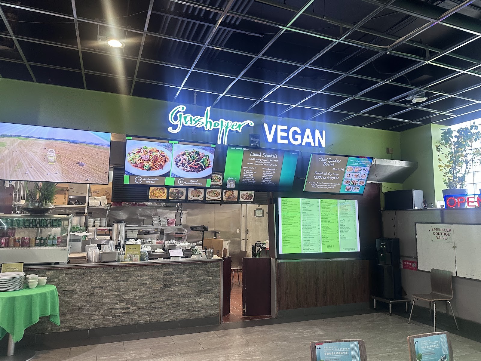 Grasshopper Vegan Restaurant: the place