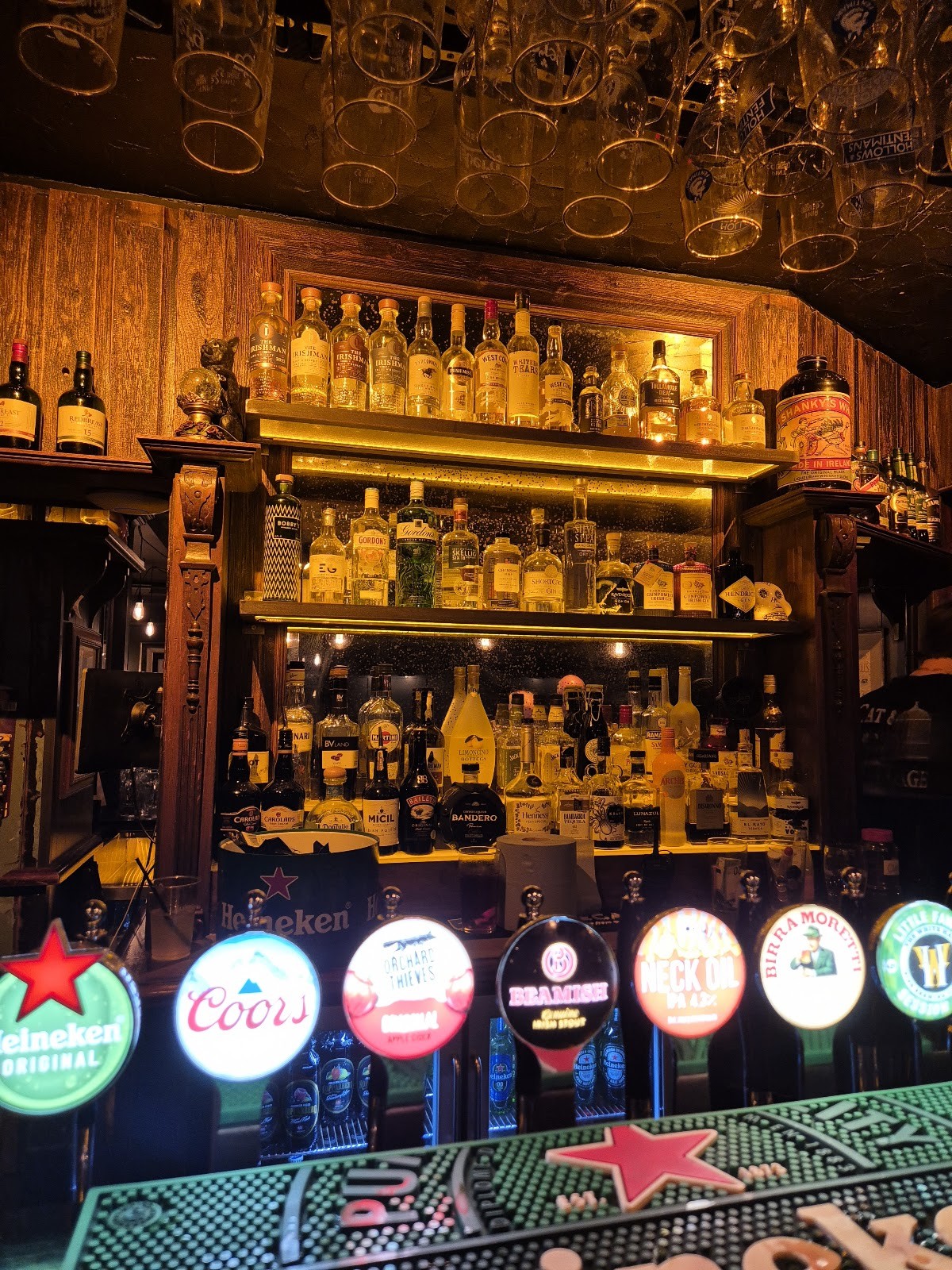 Cat and Cage: the place