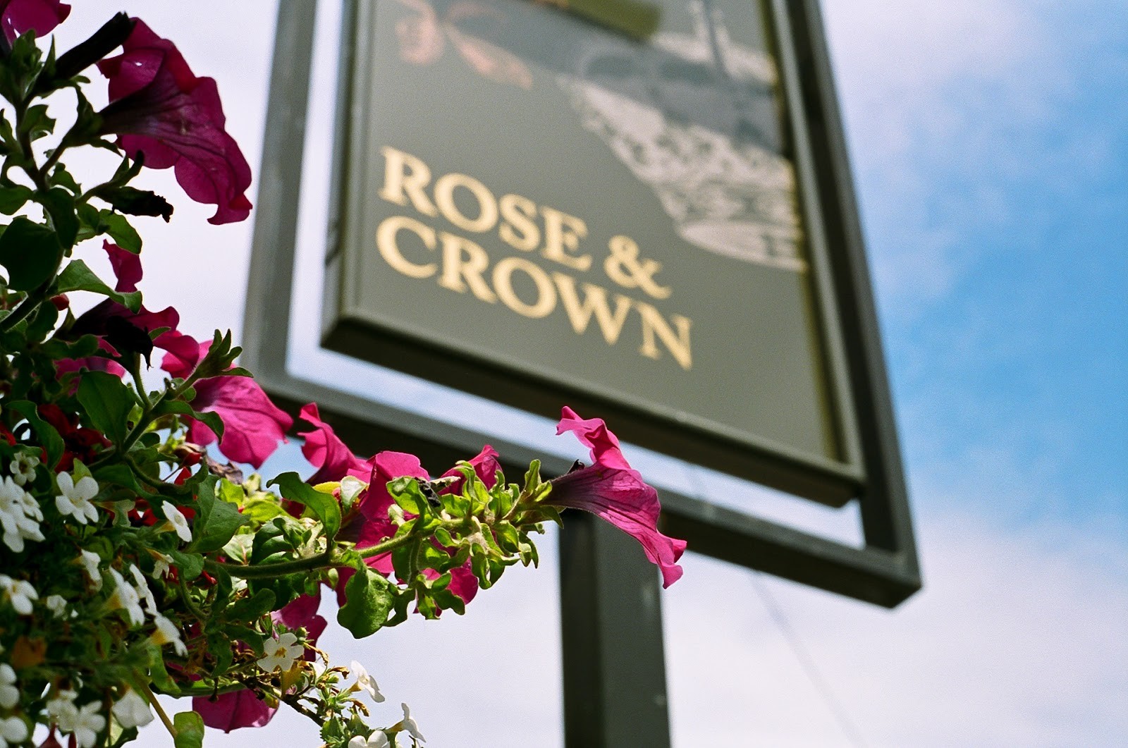 The Rose & Crown: the place