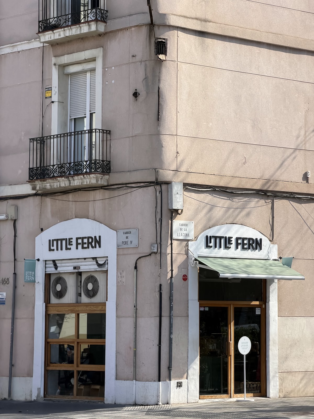 LITTLE FERN: the place