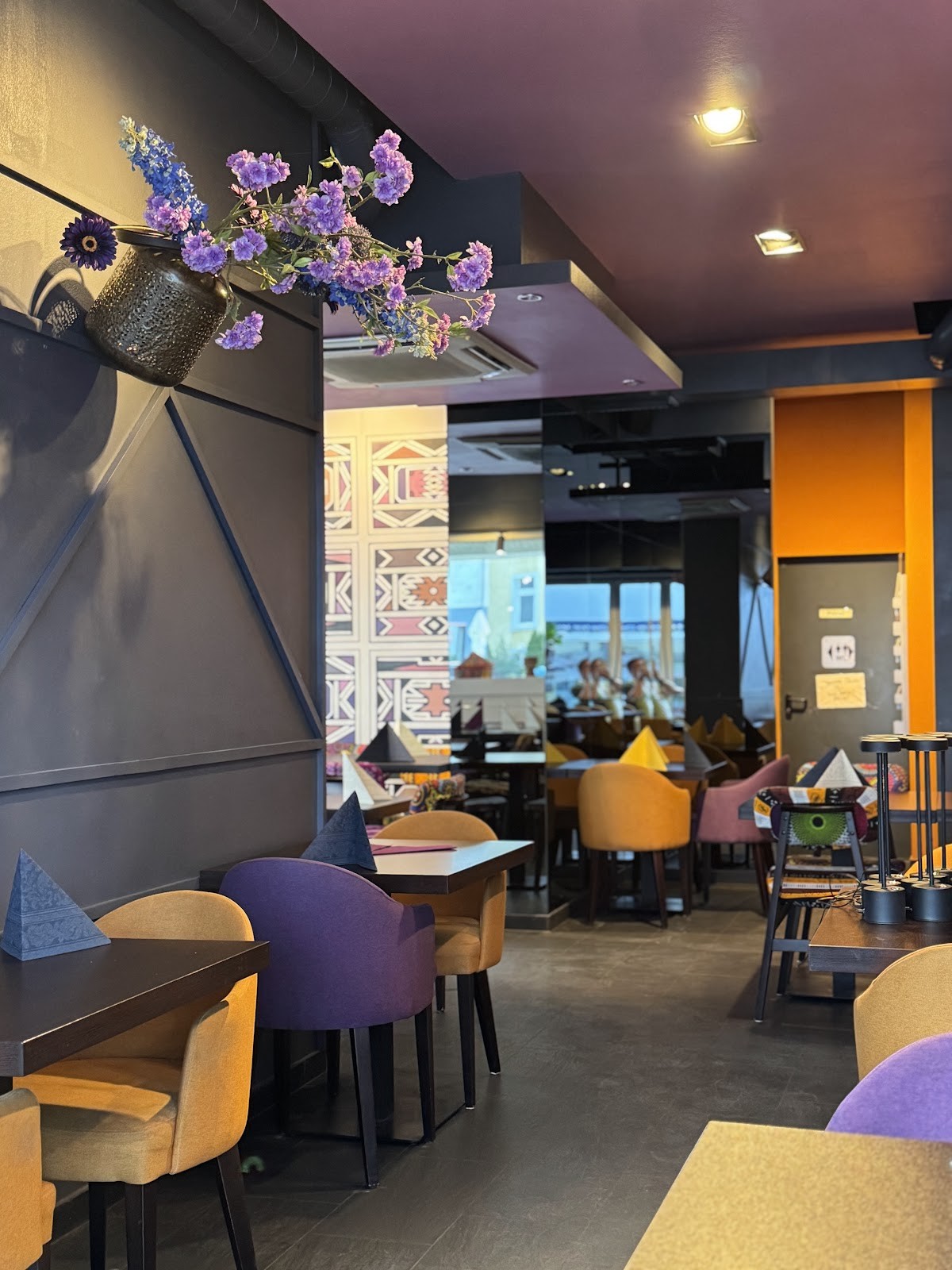 African Violet: the place