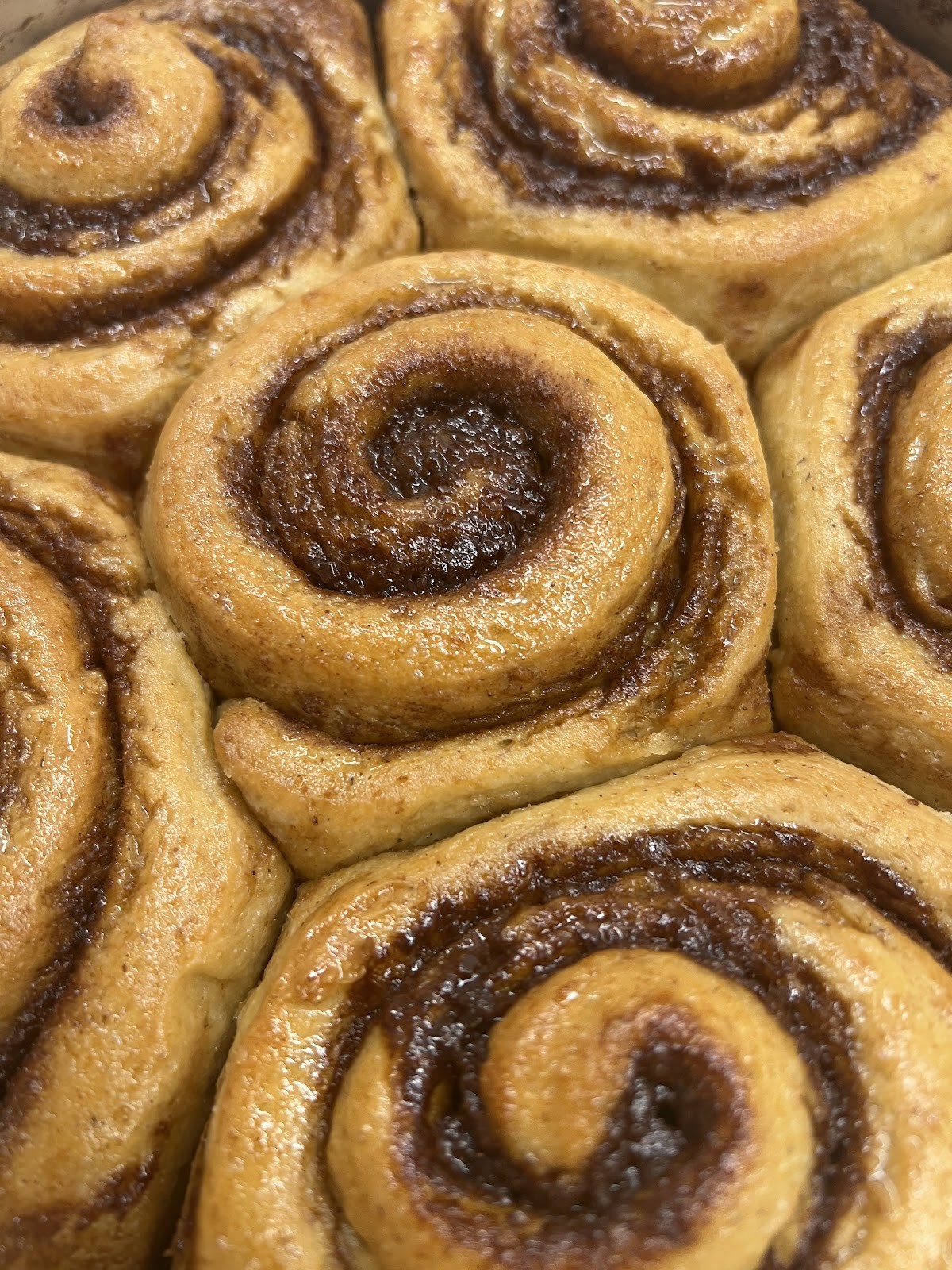 Starfish Bakery: food & drinks
