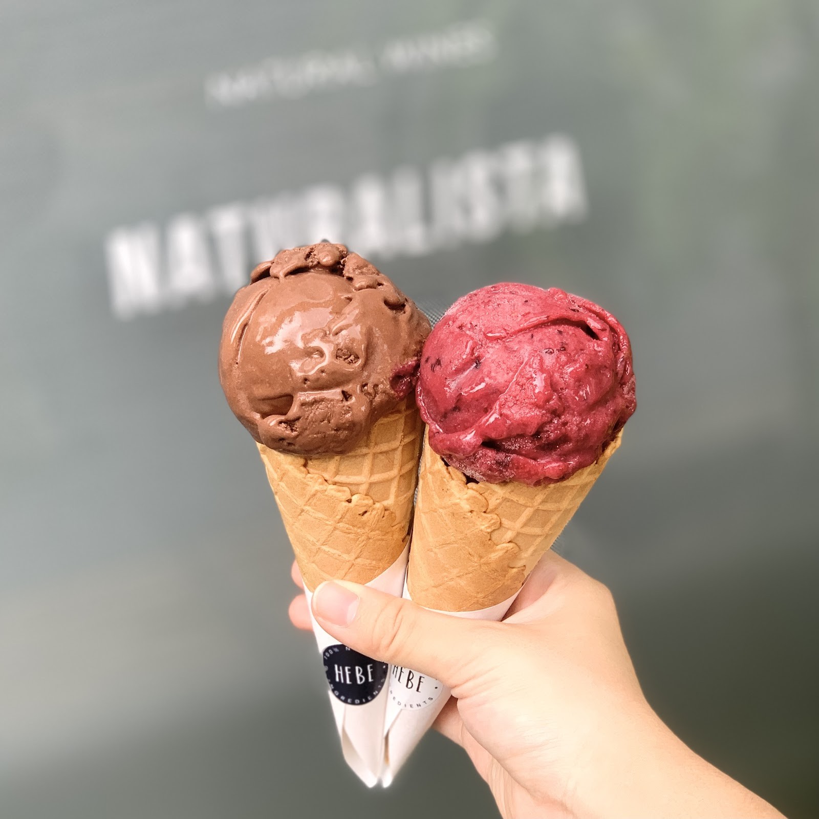 HEBE Plant Bar ไอศครีมฮีบี (Pridi): food & drinks