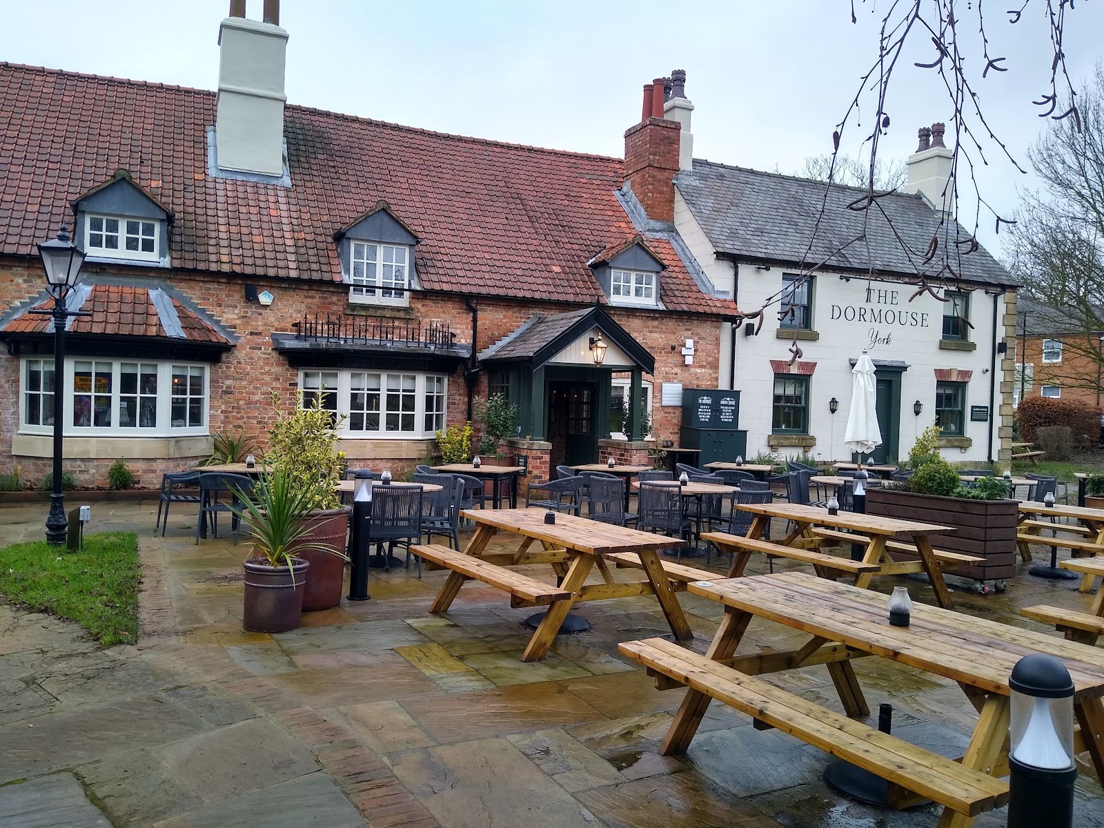 The Dormouse: the place
