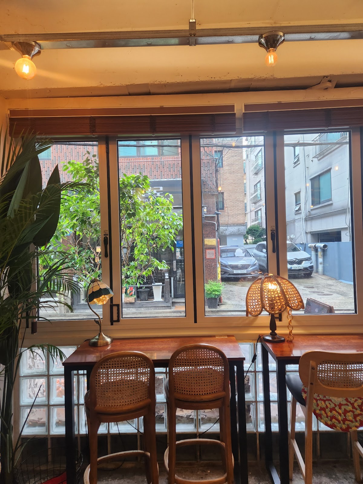 Cafe Turtle: the place