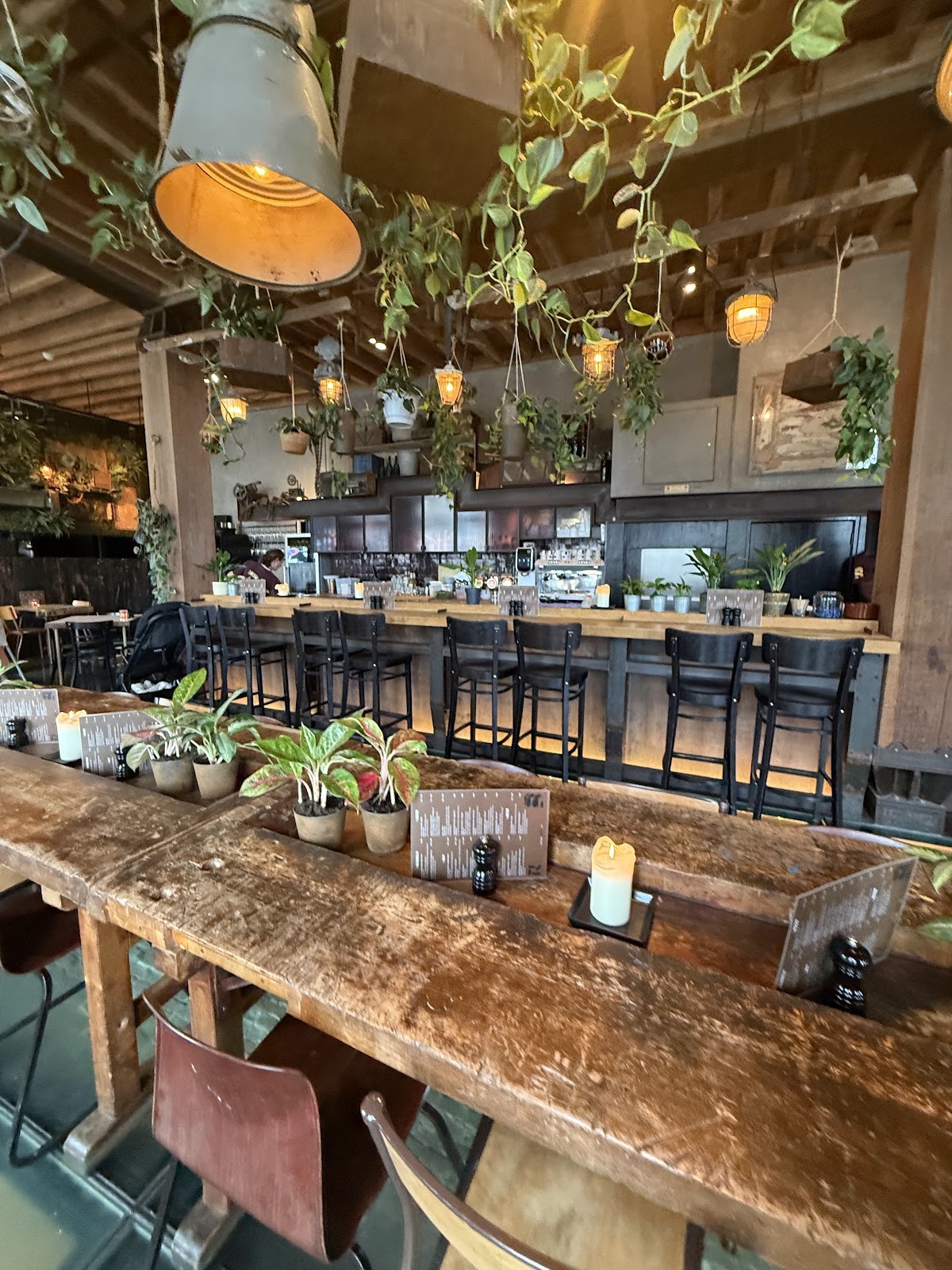 Roest: the place