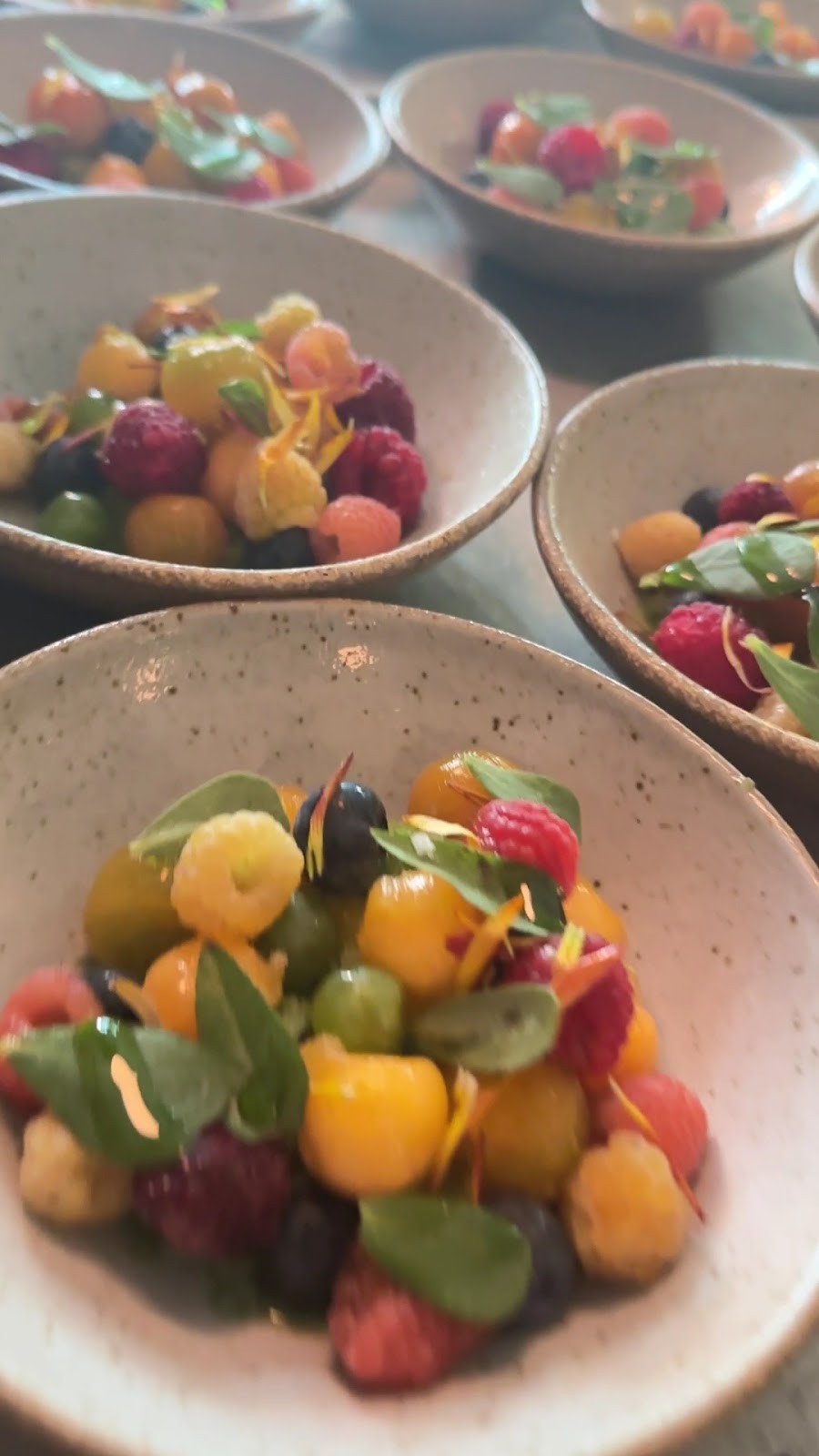 ASTERA: food & drinks