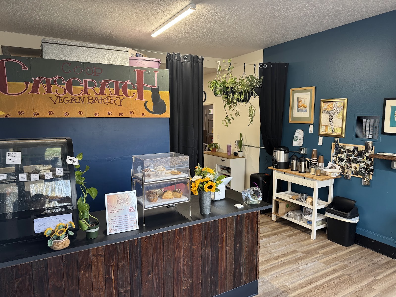 Catscratch Co-op Vegan Bakery: the place