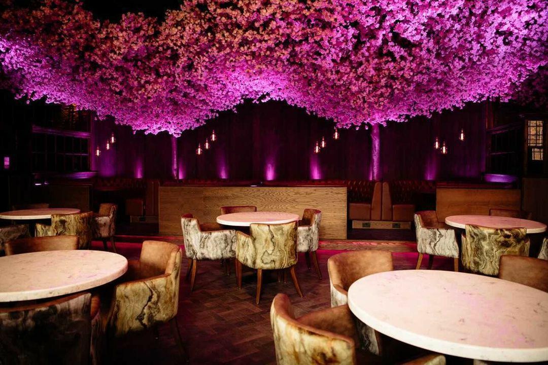 Akshaya - The Picture Drome: the place