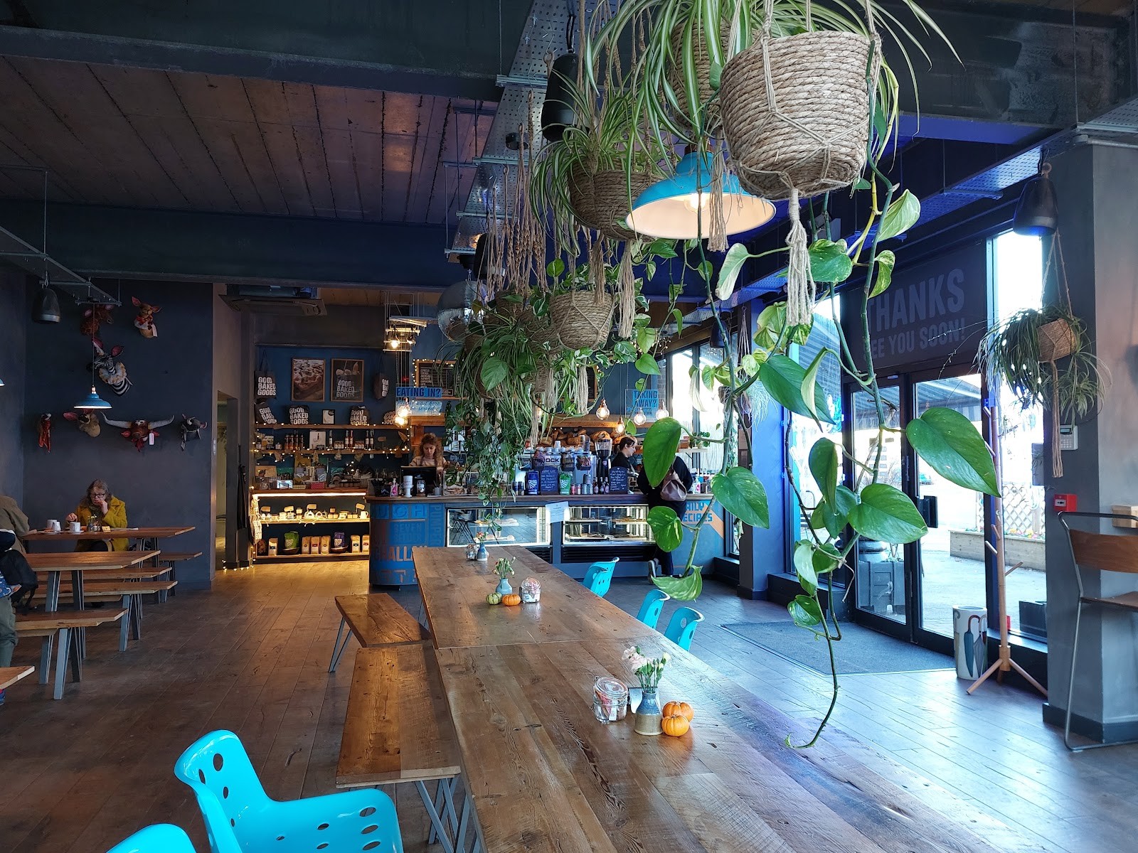 Bluebird Bakery: the place