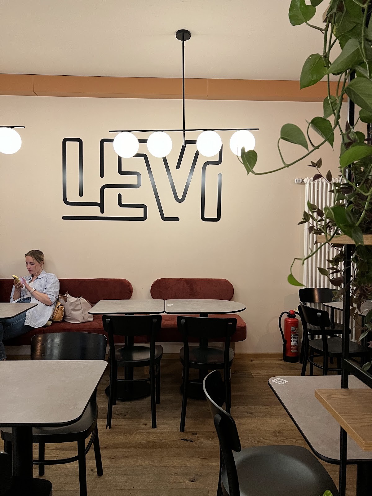 LEVI - Asian Fusion Kitchen: the place