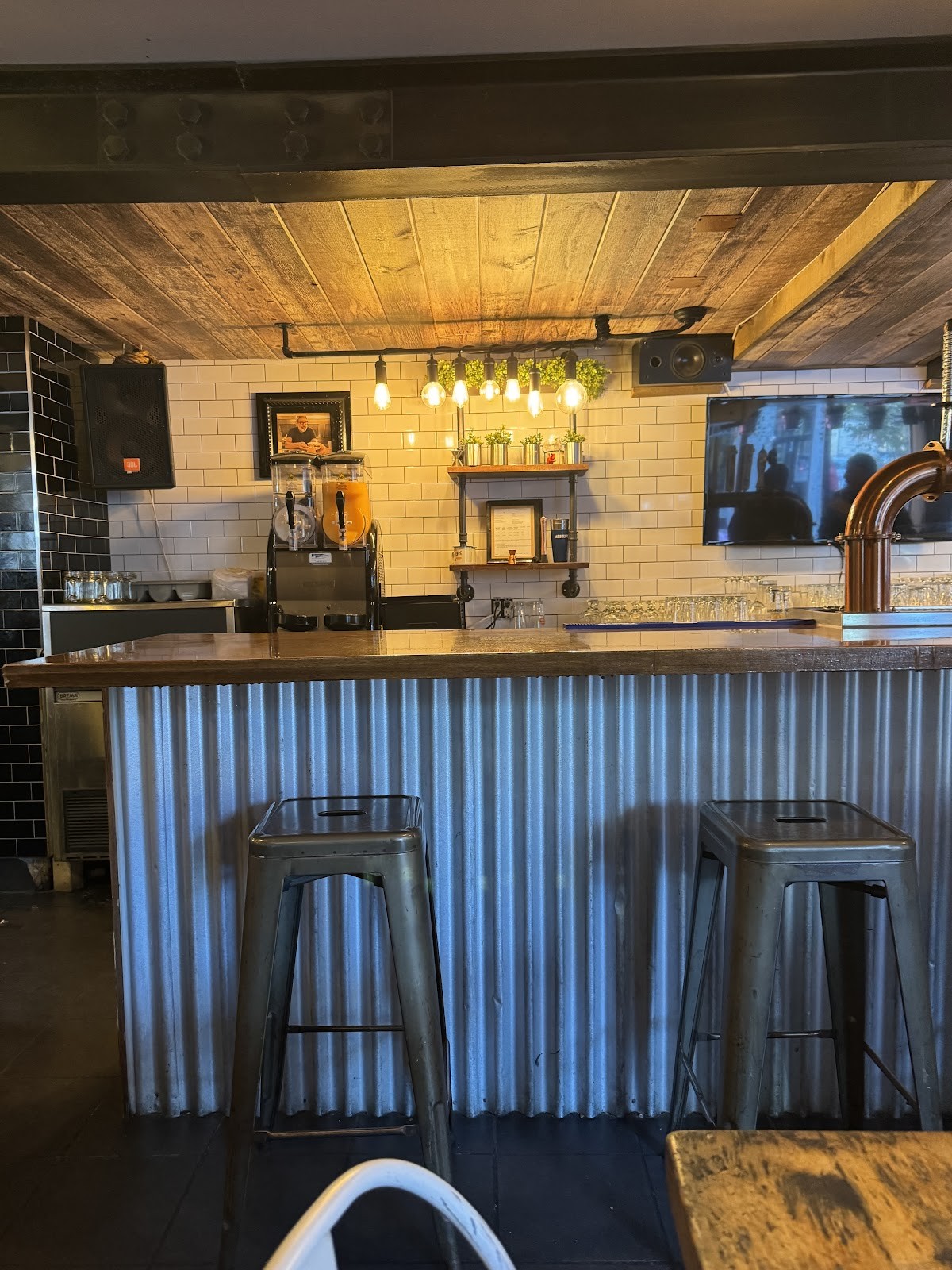 Dirty Dogs: the place