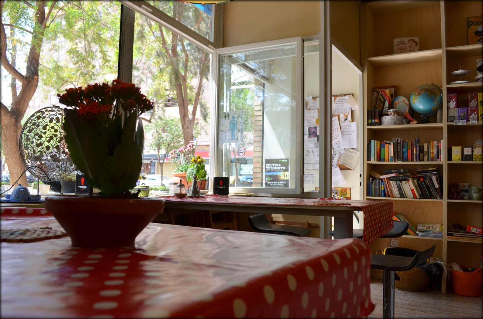 La Ola Fresca: the place