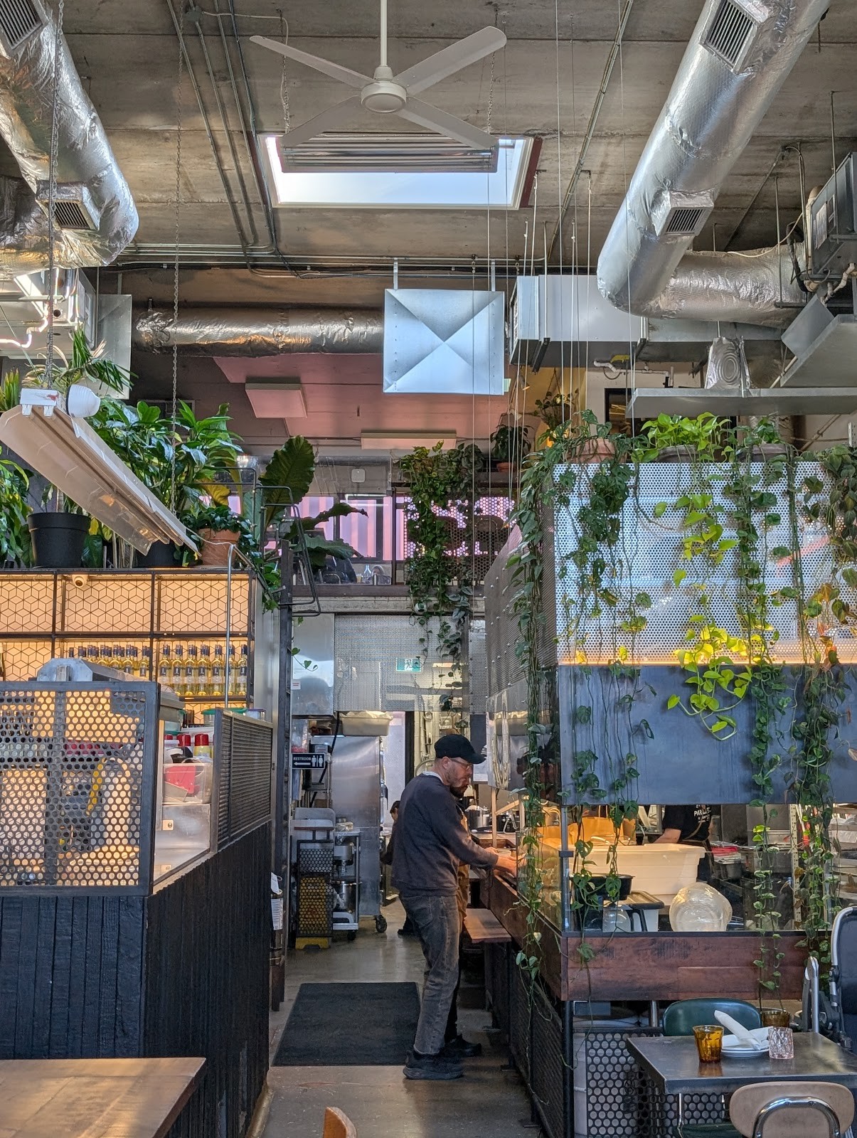 Parallel Brothers: the place