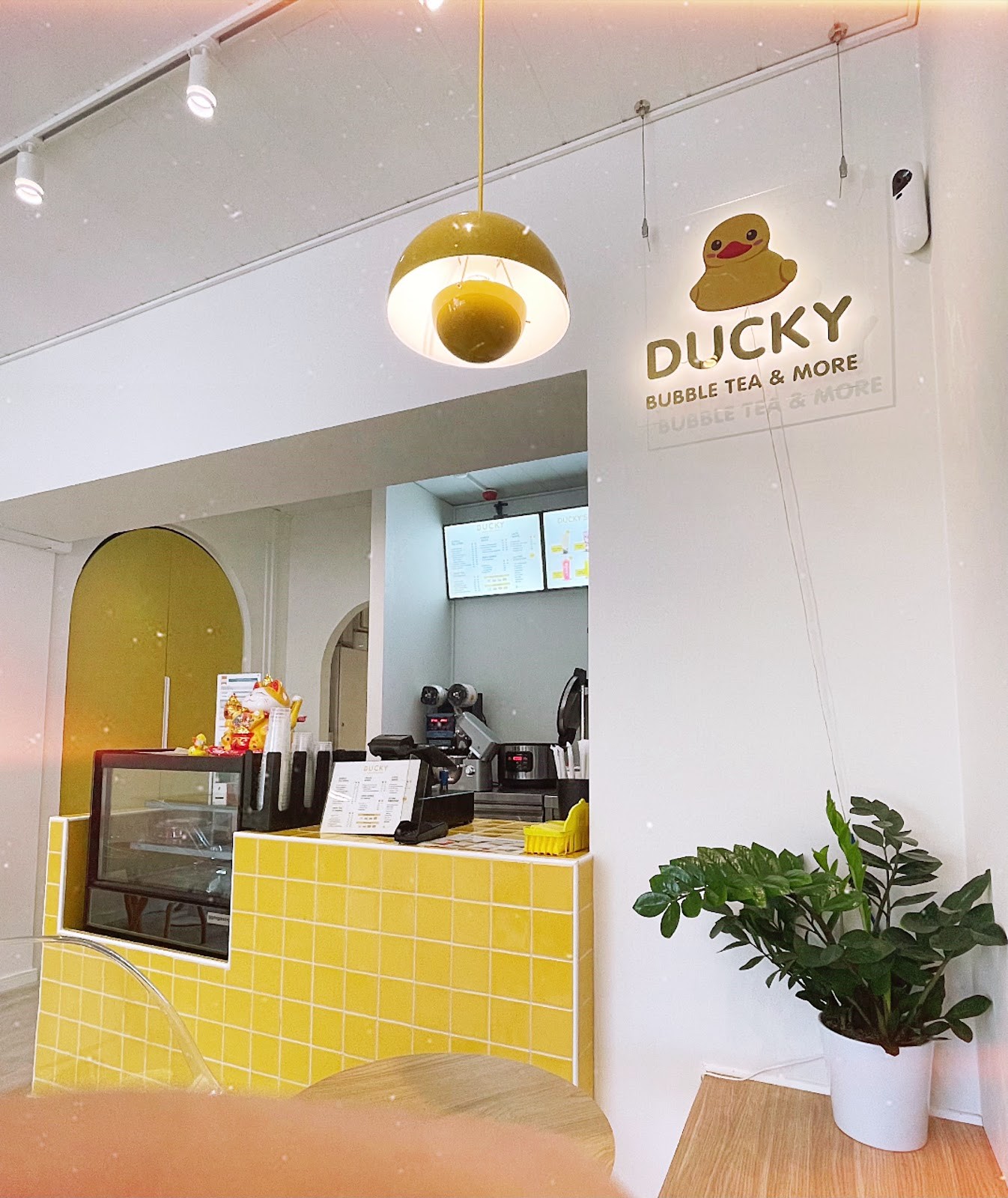 Ducky Bubble Tea & More: the place